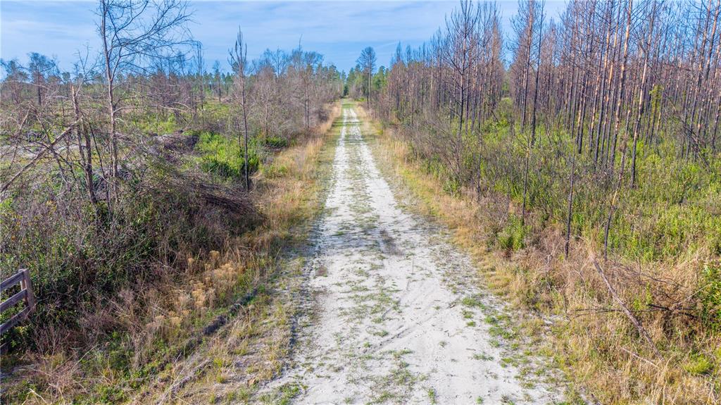 Tbd Southwest 83rd Way Gainesville, FL 32609 - Photo 11 of 14