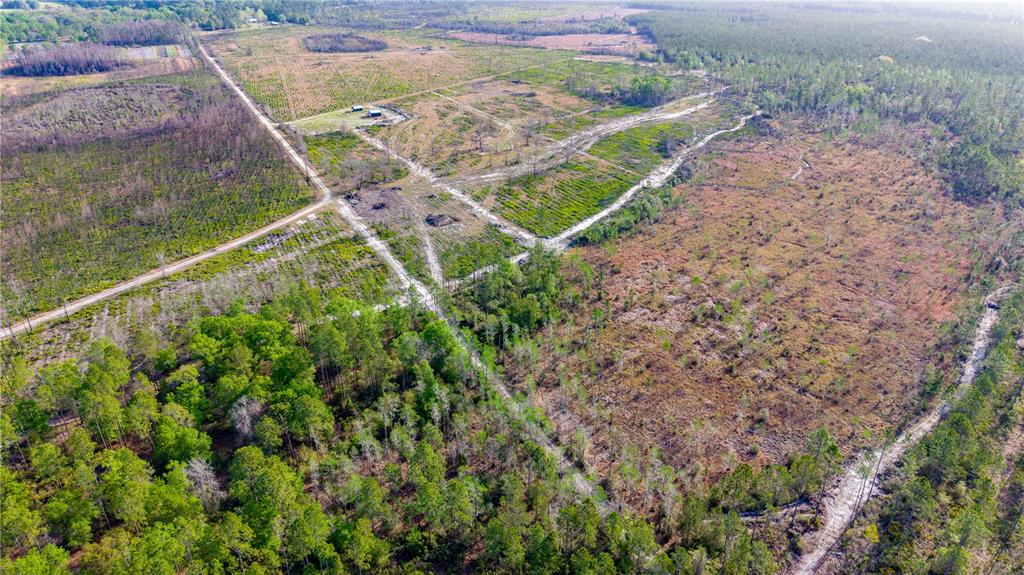 Tbd Southwest 83rd Way Gainesville, FL 32609 - Photo 9 of 14