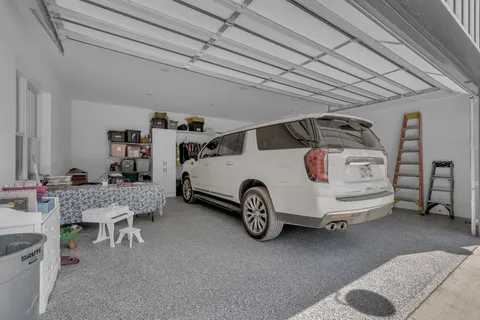 a view of a forest with a tree