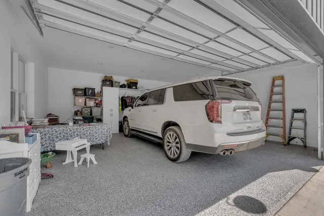 a view of a forest with a tree