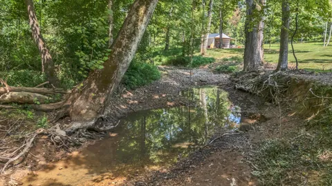$1,550,000 | 3573 Sandy Springs Road, Cedar Hill, TN 37032