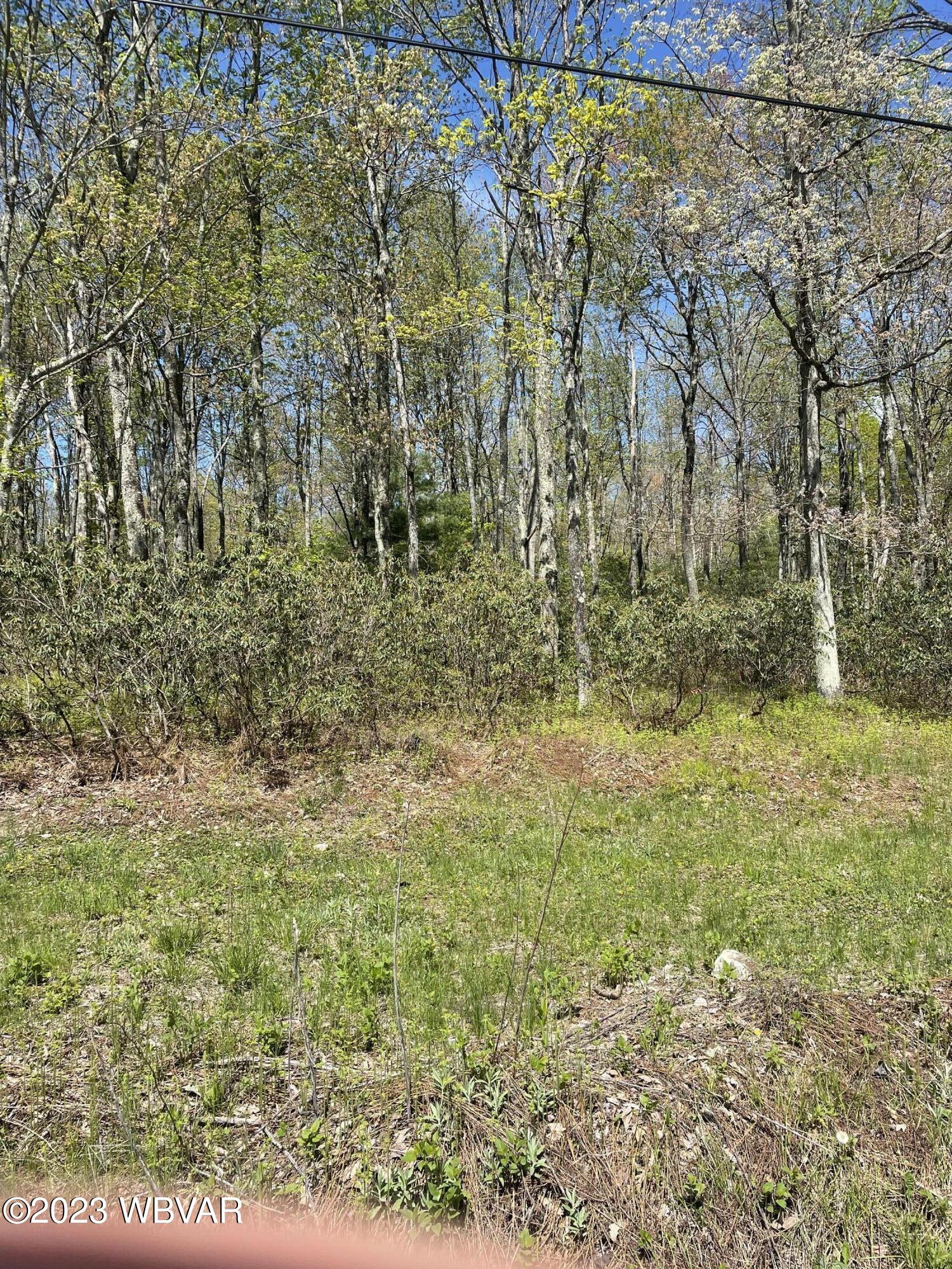 Laurel Ridge Rd Lock Haven, Unit 28 Lock Haven, PA 17745 - Photo 1 of 3 Gallery Image 1