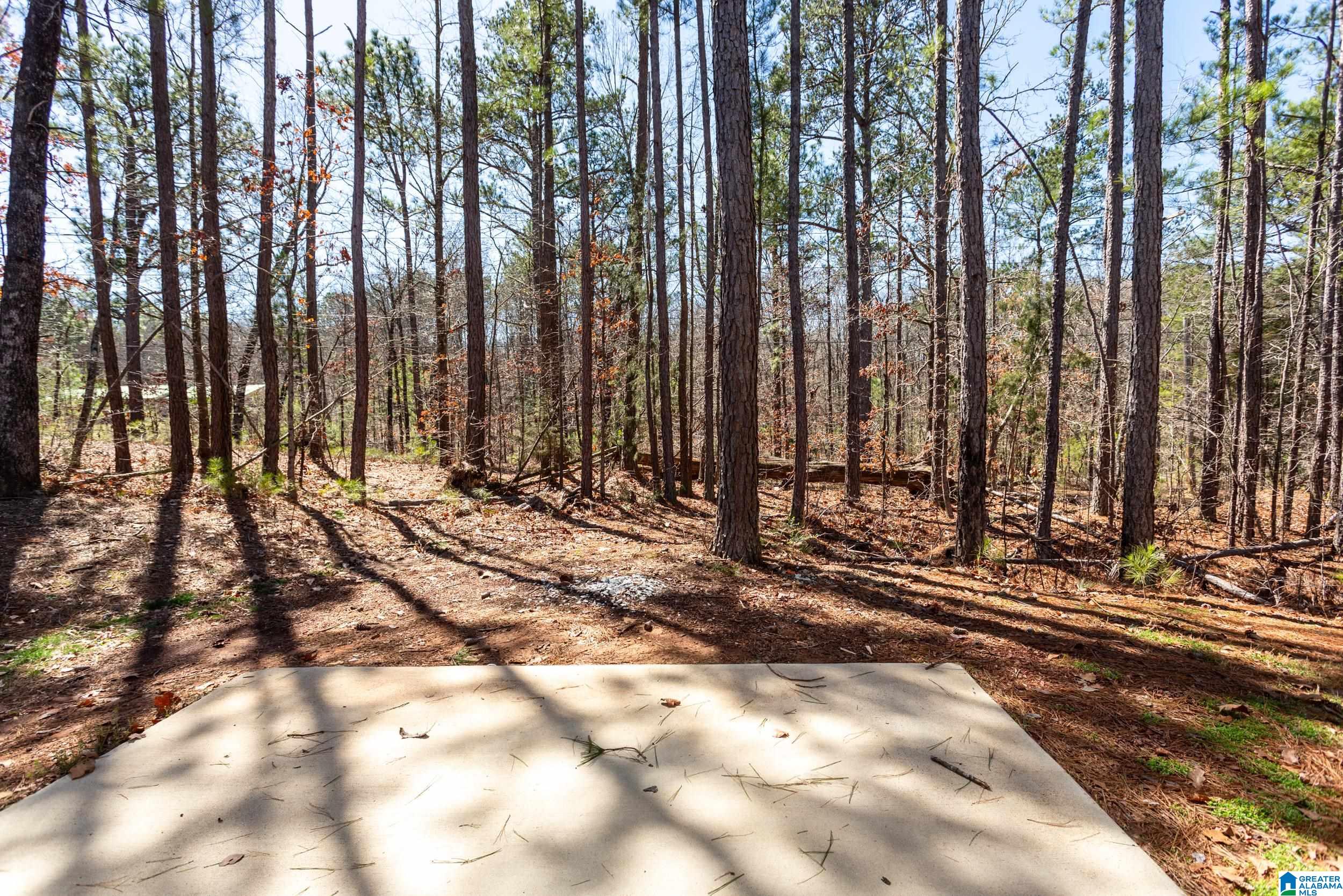 726 Twin Ridge Circle Lincoln, AL 35096 - Photo 31 of 31