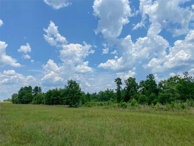 an aerial view of a house with lots of trees