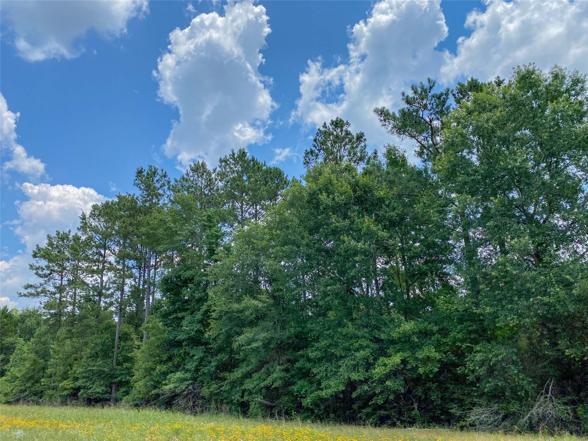 0 Us Highway Corrigan, TX 75939 - Photo 12 of 15 an aerial view of a house with lots of trees