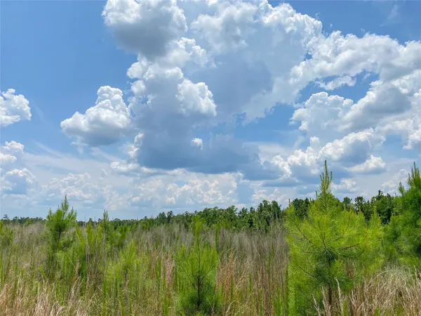 a view of a lake with green space