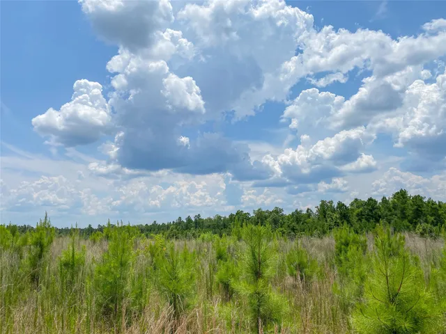 a view of a green field