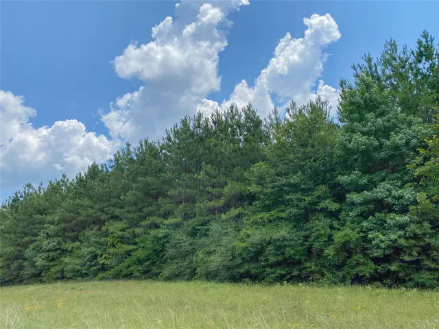 a view of a flower in a garden