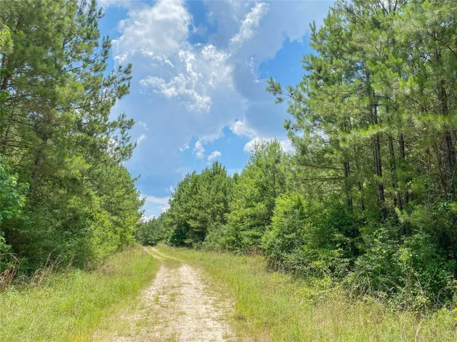 a view of a green yard
