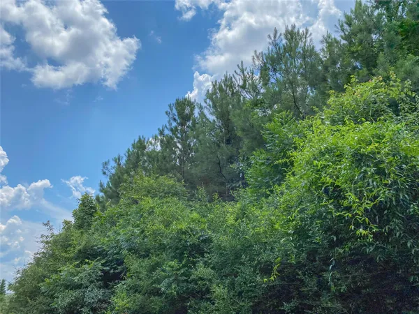 a view of a big yard with lots of green space
