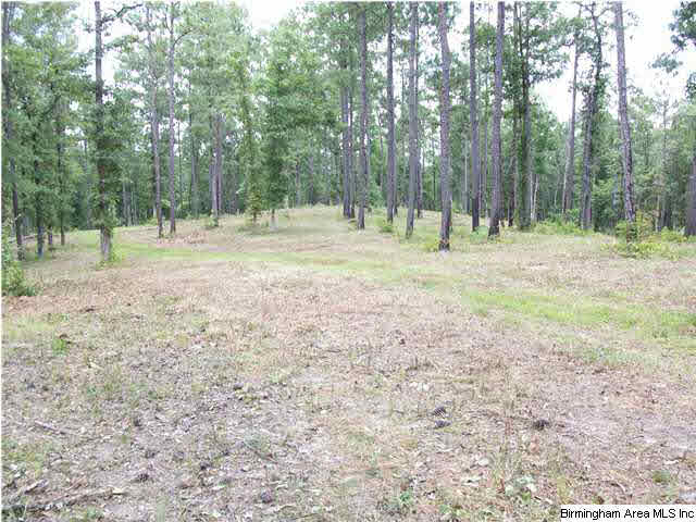 Meadow Lake, Unit 2A Calera, AL 35040 - Photo 6 of 9