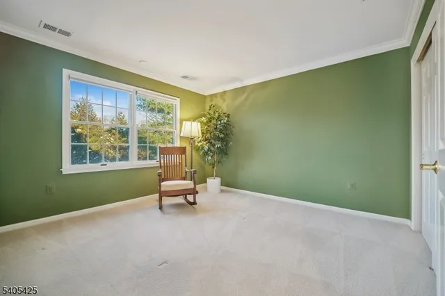 a view of a room with furniture and a potted plant