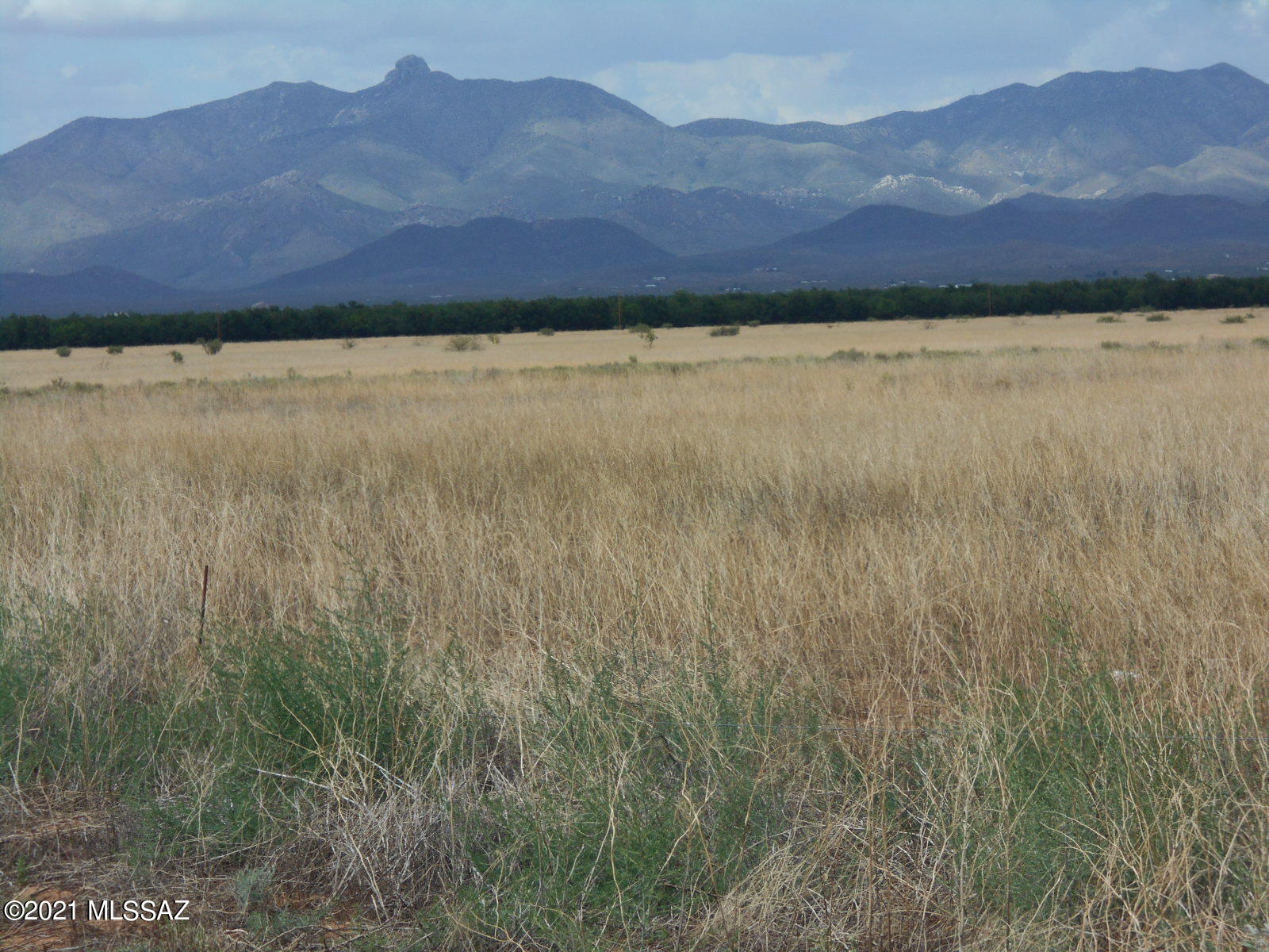 238-ac East Kimzey Road Willcox, AZ 85643 - Photo 1 of 40