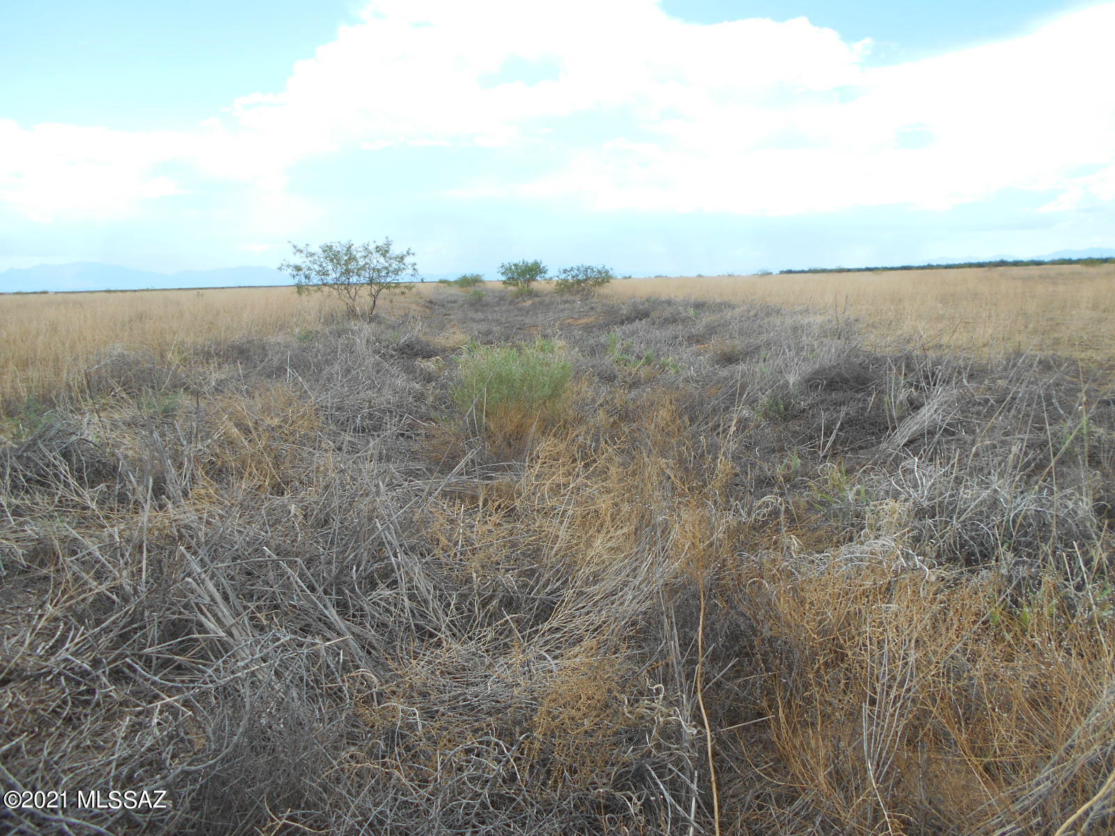 238-ac East Kimzey Road Willcox, AZ 85643 - Photo 12 of 40