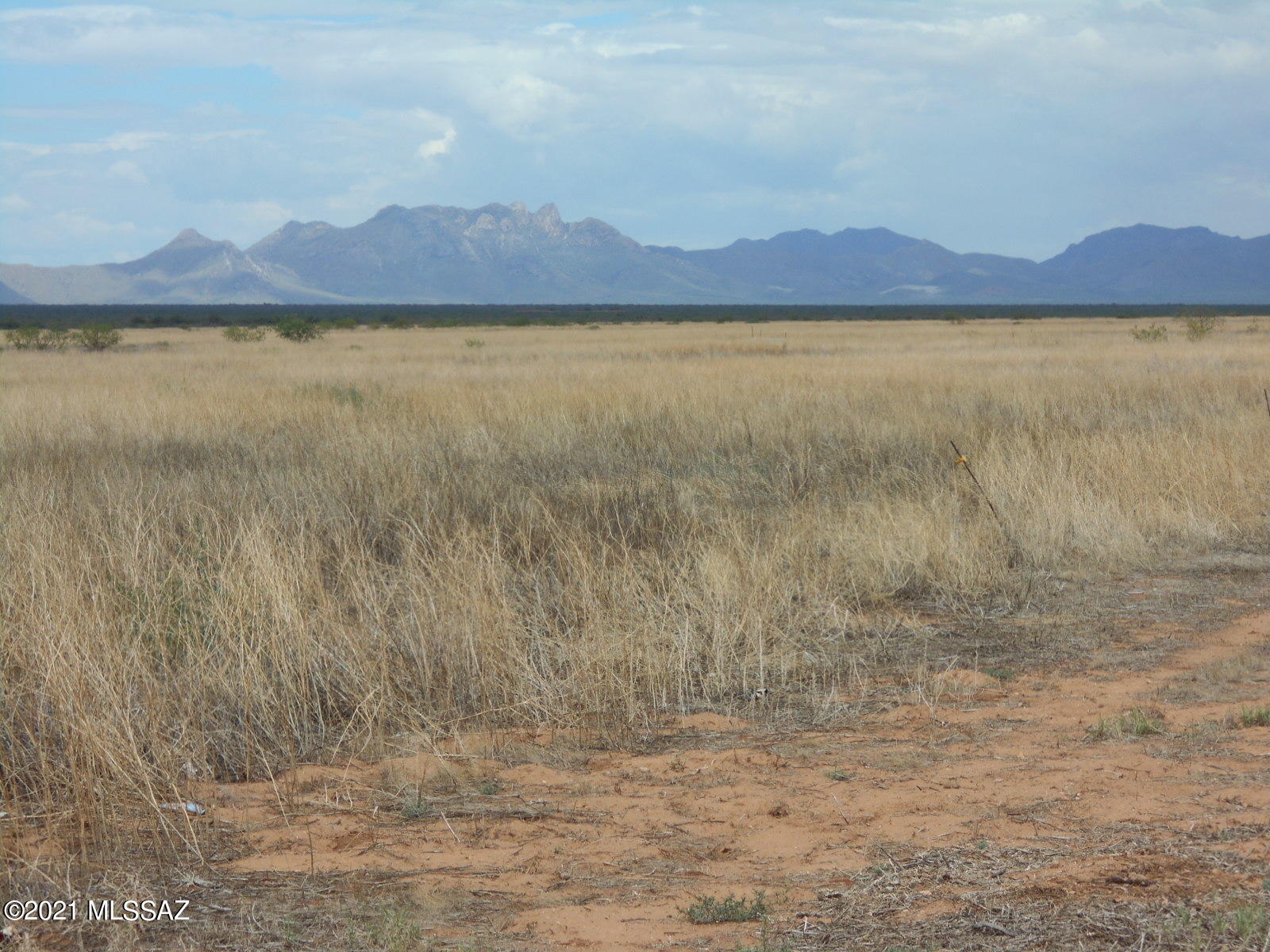 238-ac East Kimzey Road Willcox, AZ 85643 - Photo 2 of 40