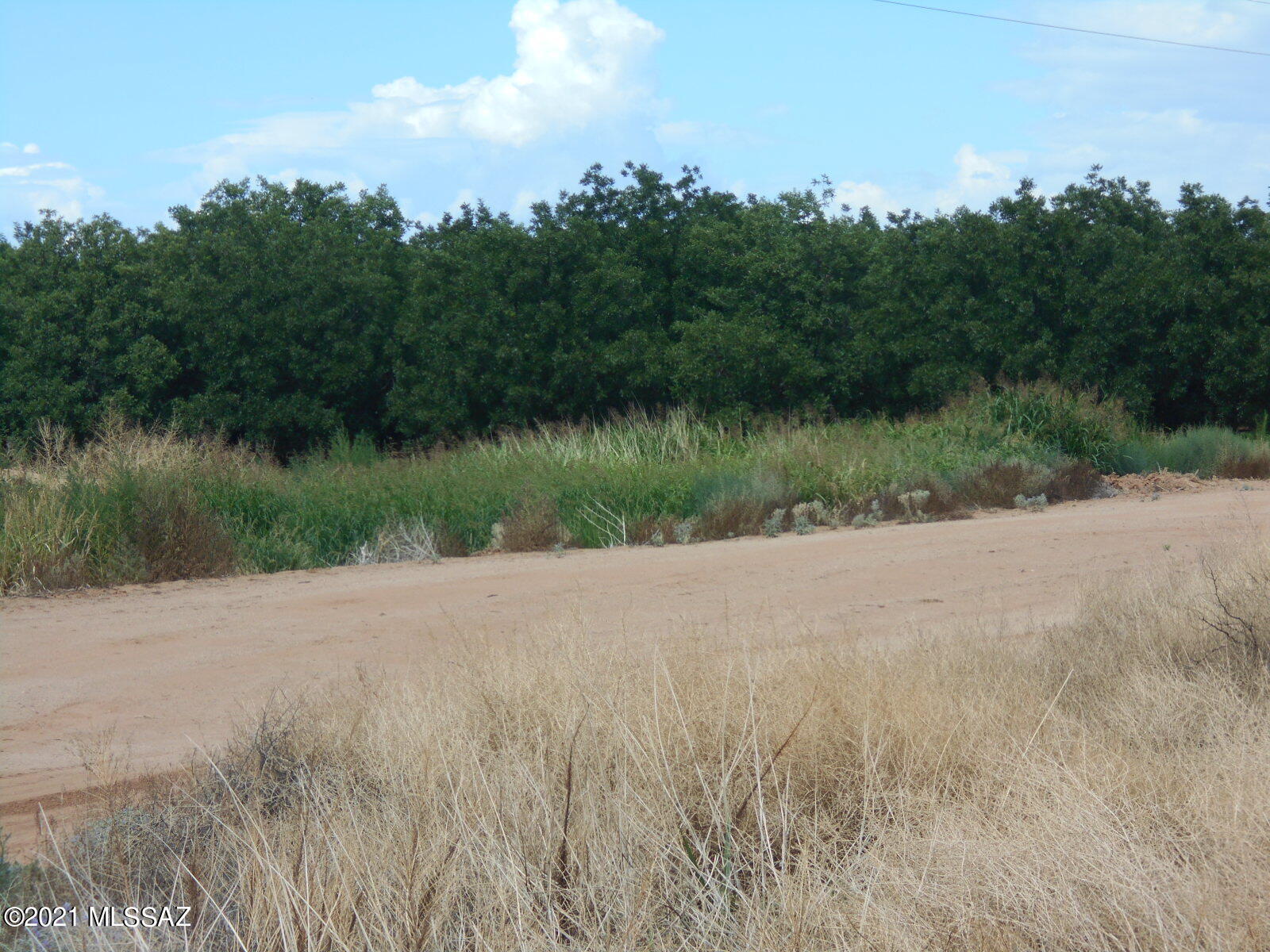 238-ac East Kimzey Road Willcox, AZ 85643 - Photo 23 of 40
