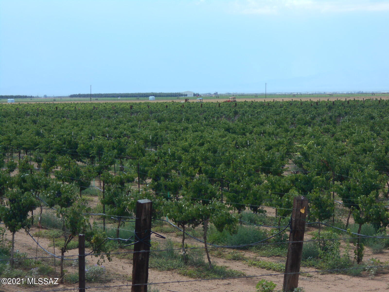 238-ac East Kimzey Road Willcox, AZ 85643 - Photo 24 of 40