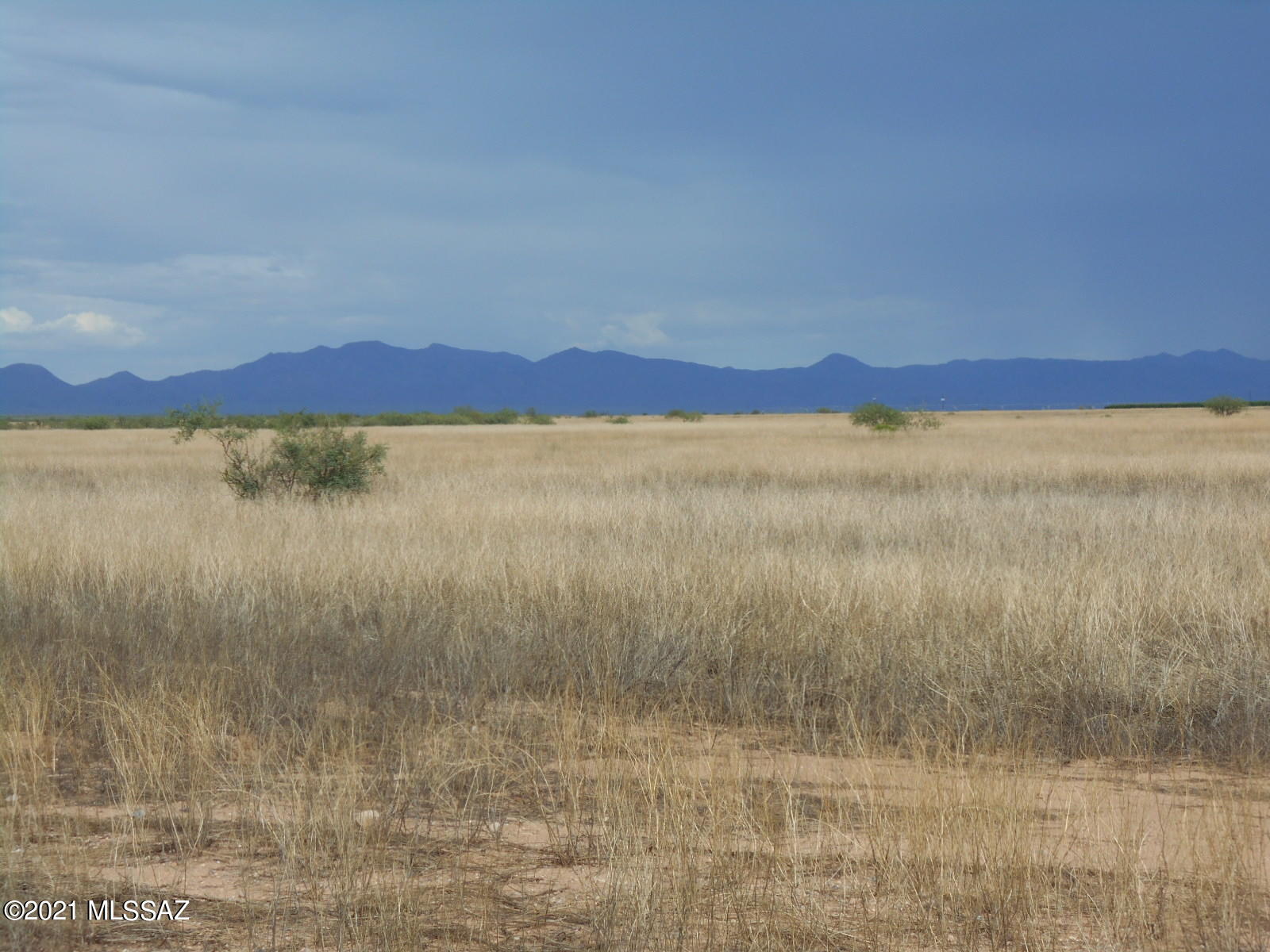 238-ac East Kimzey Road Willcox, AZ 85643 - Photo 28 of 40