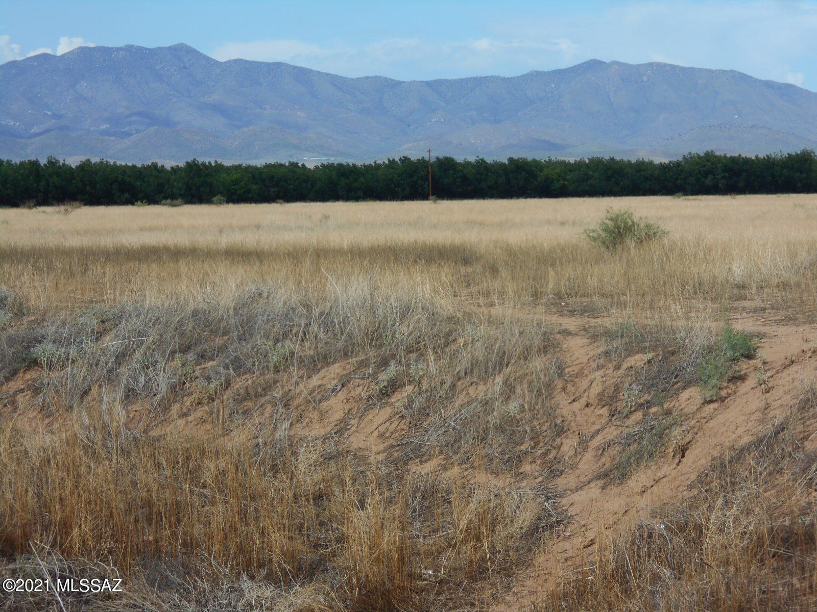 238-ac East Kimzey Road Willcox, AZ 85643 - Photo 30 of 40