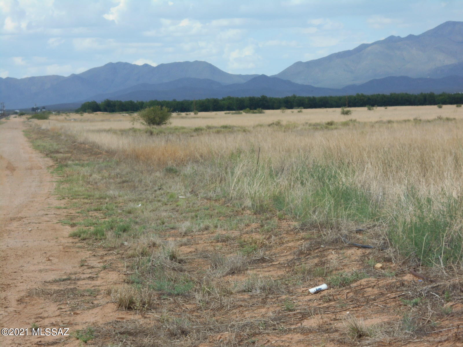 238-ac East Kimzey Road Willcox, AZ 85643 - Photo 3 of 40