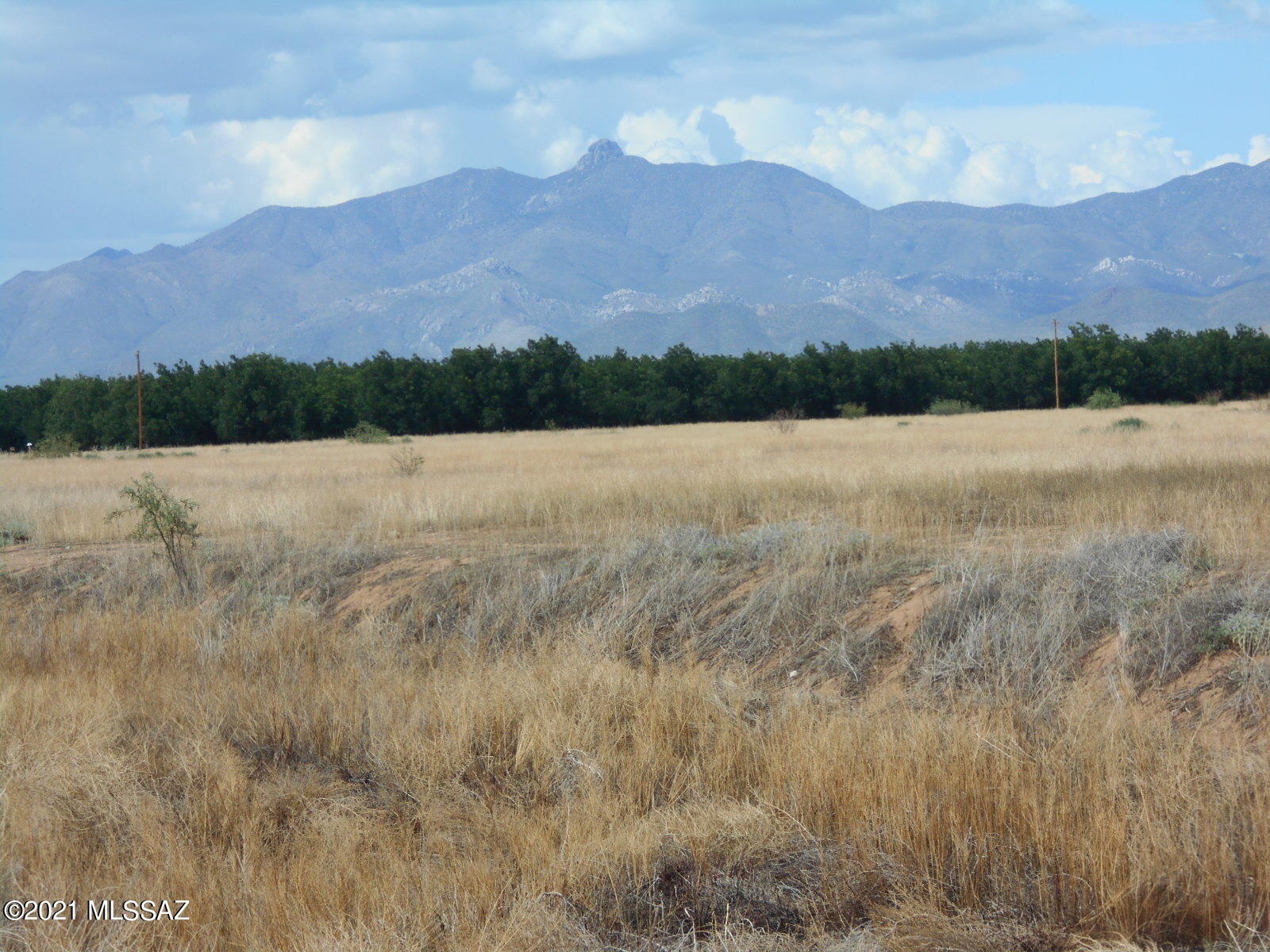 238-ac East Kimzey Road Willcox, AZ 85643 - Photo 31 of 40