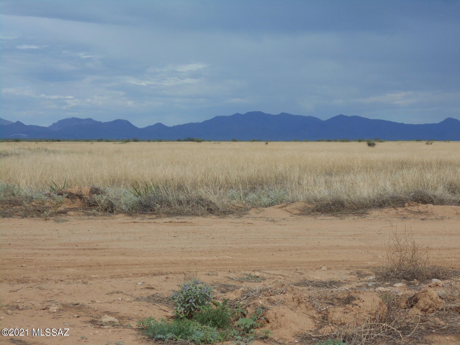 238-ac East Kimzey Road Willcox, AZ 85643 - Photo 32 of 40