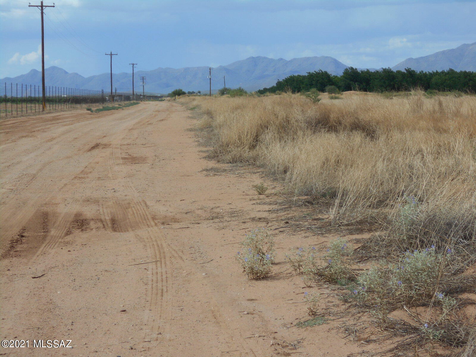 238-ac East Kimzey Road Willcox, AZ 85643 - Photo 33 of 40