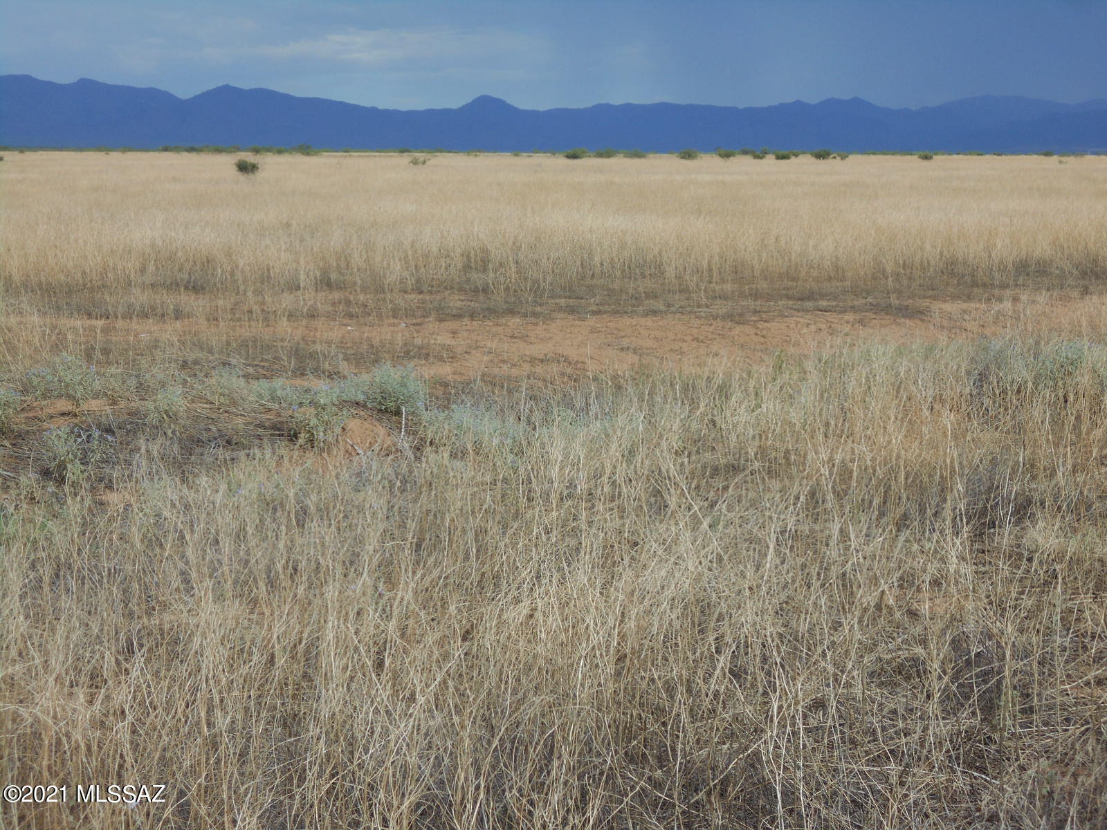 238-ac East Kimzey Road Willcox, AZ 85643 - Photo 34 of 40