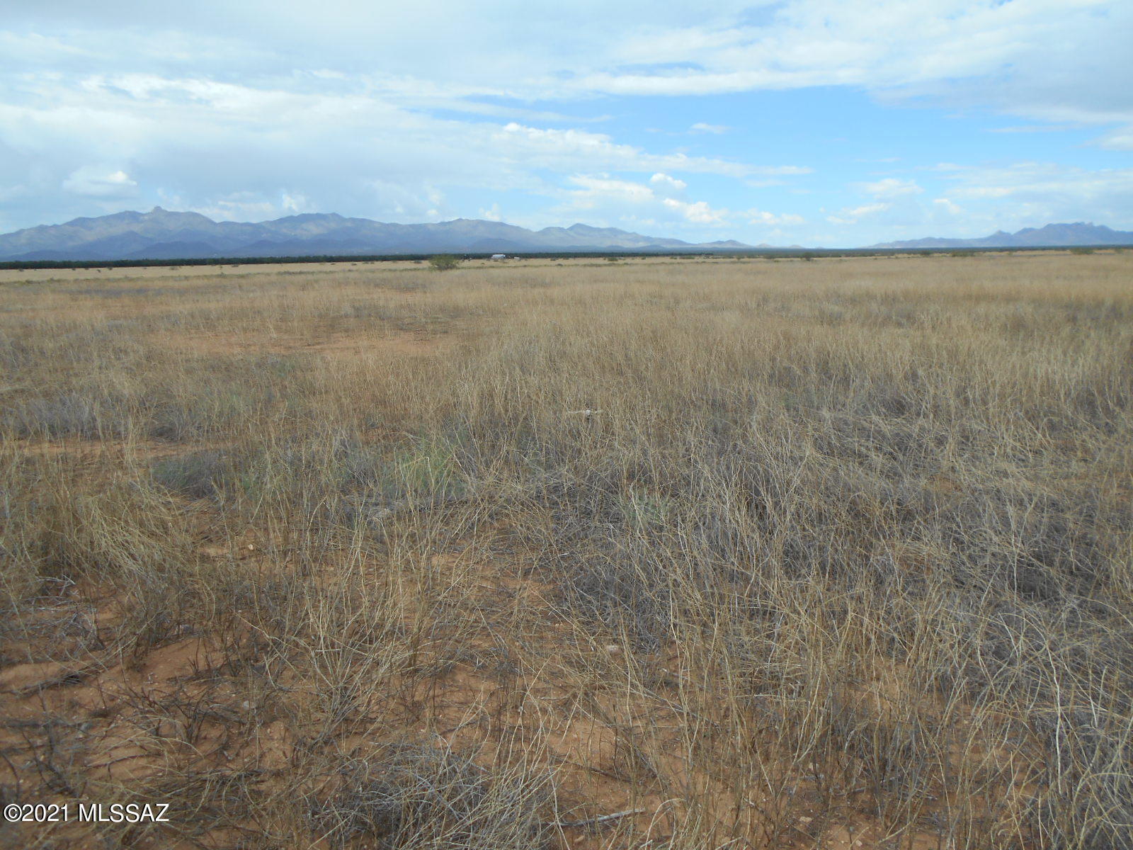 238-ac East Kimzey Road Willcox, AZ 85643 - Photo 4 of 40