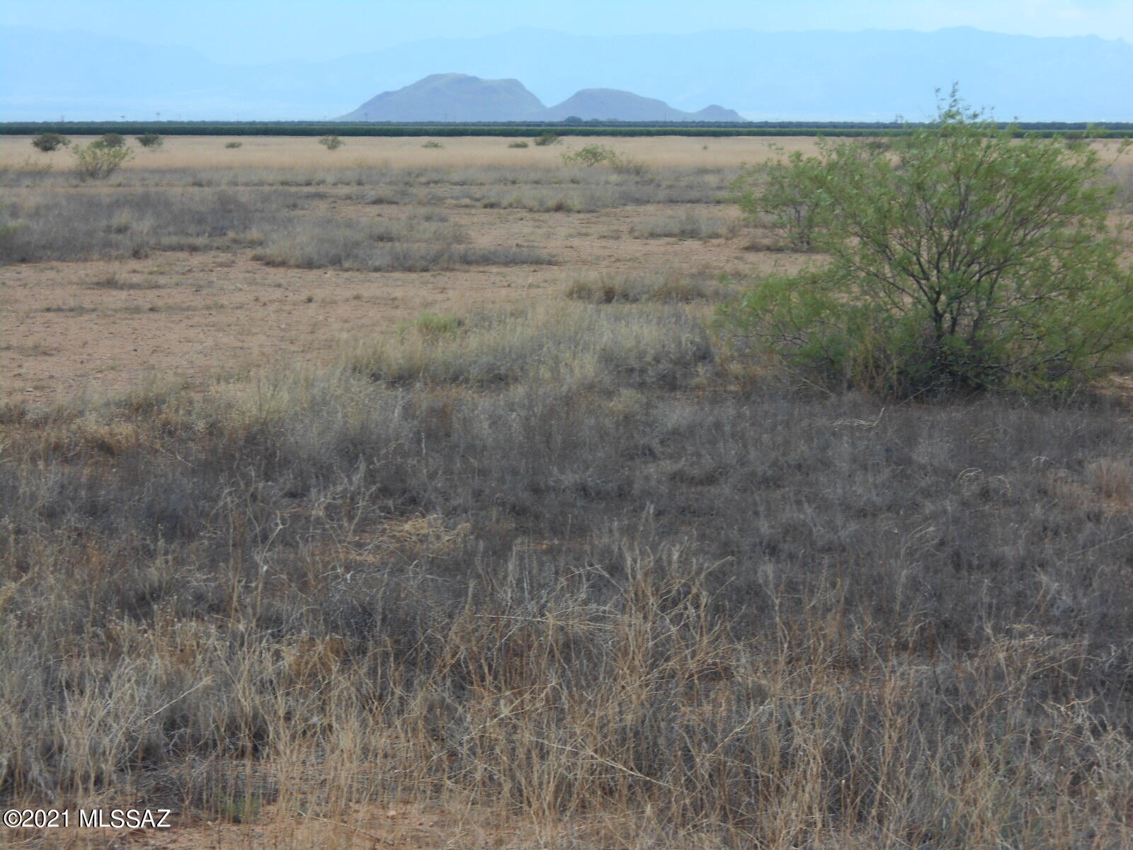 238-ac East Kimzey Road Willcox, AZ 85643 - Photo 8 of 40