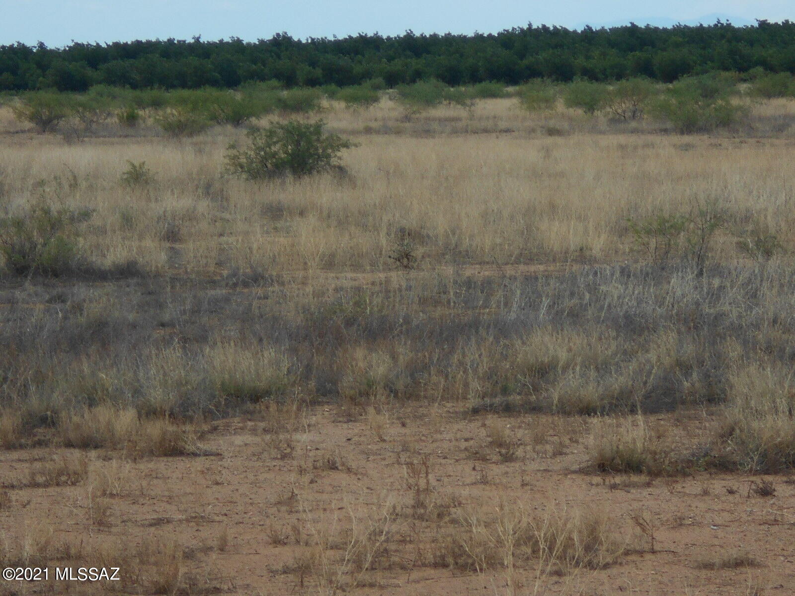 238-ac East Kimzey Road Willcox, AZ 85643 - Photo 9 of 40