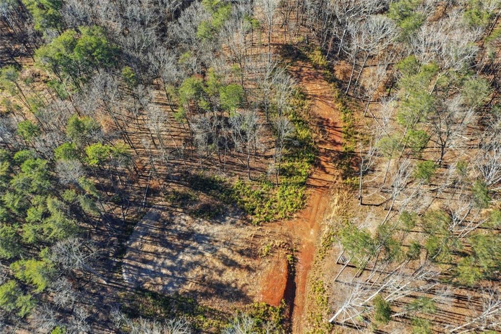 285 Highlands Chase Ball Ground, GA 30107 - Photo 13 of 20