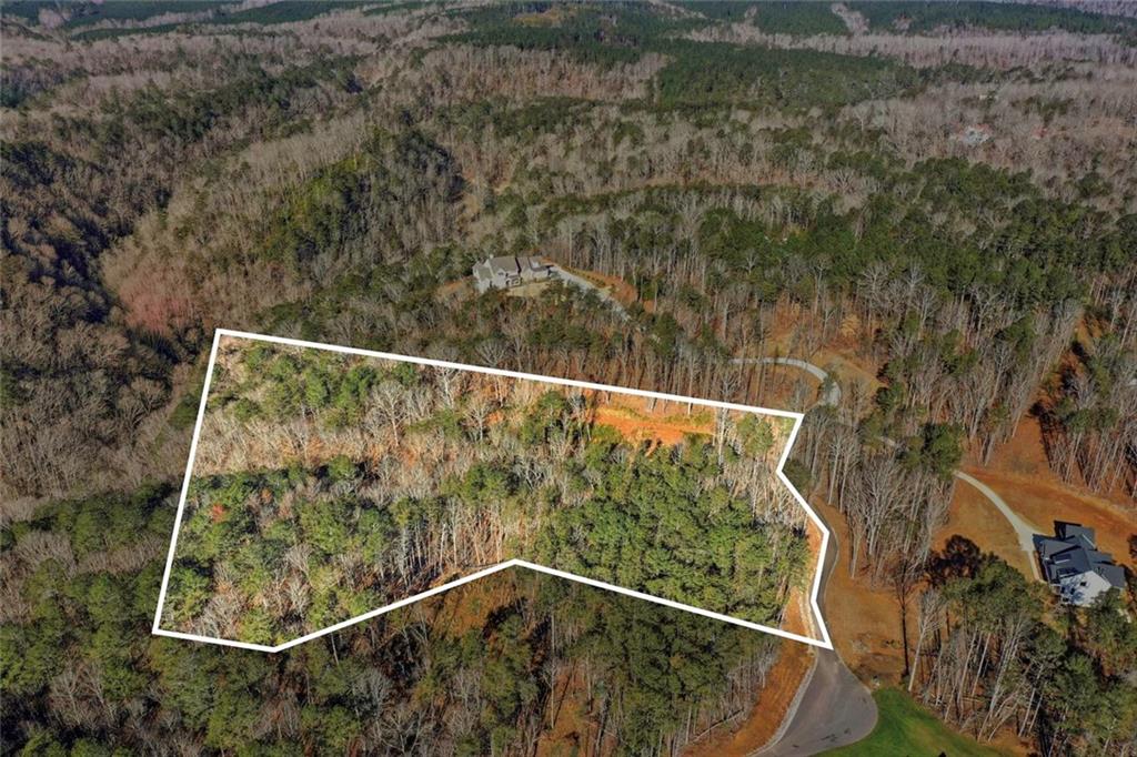 285 Highlands Chase Ball Ground, GA 30107 - Photo 4 of 20