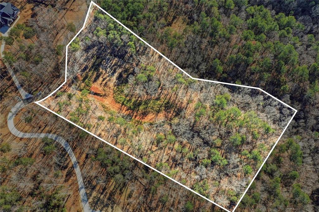 285 Highlands Chase Ball Ground, GA 30107 - Photo 5 of 20