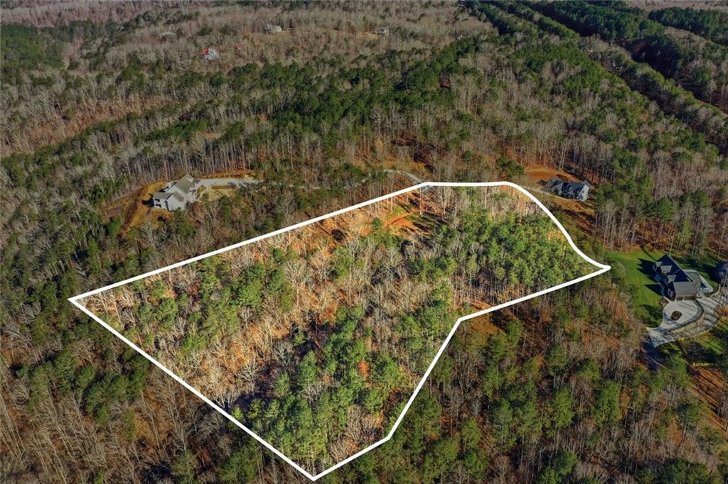 285 Highlands Chase Ball Ground, GA 30107 - Photo 6 of 20