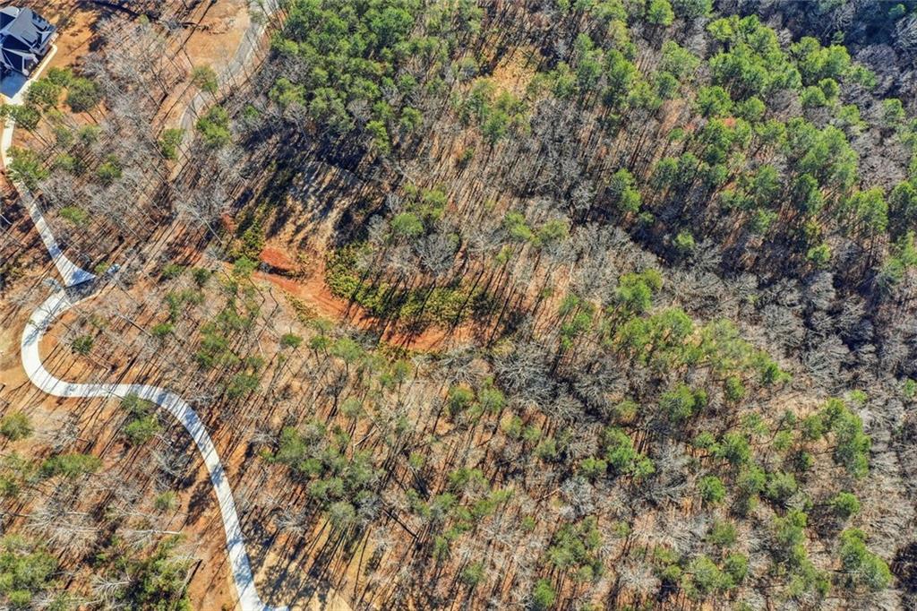 285 Highlands Chase Ball Ground, GA 30107 - Photo 7 of 20