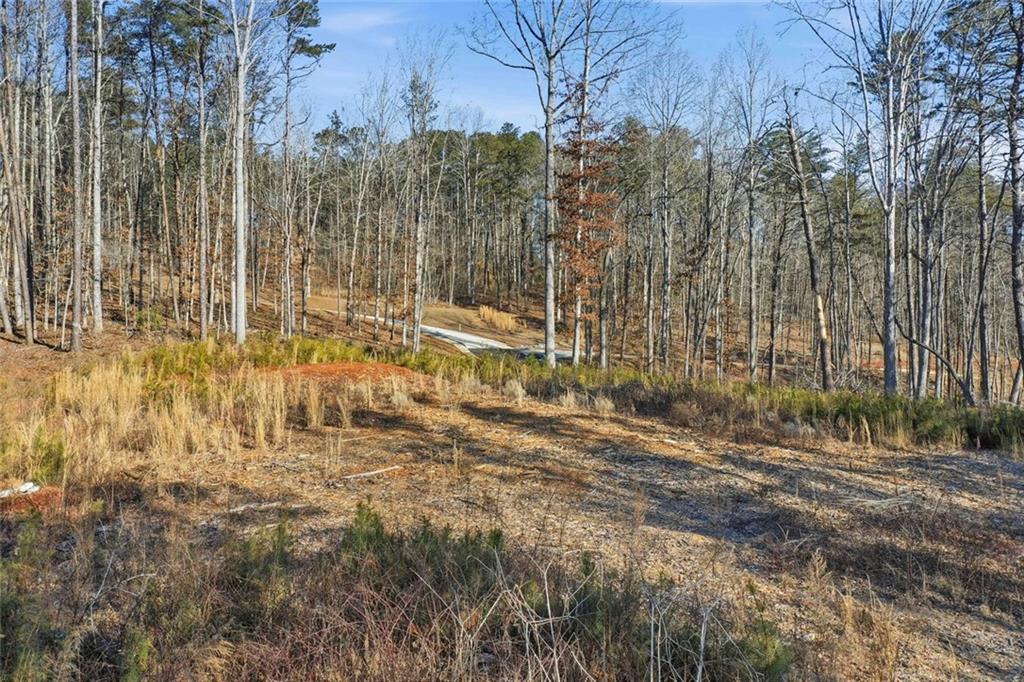 285 Highlands Chase Ball Ground, GA 30107 - Photo 8 of 20