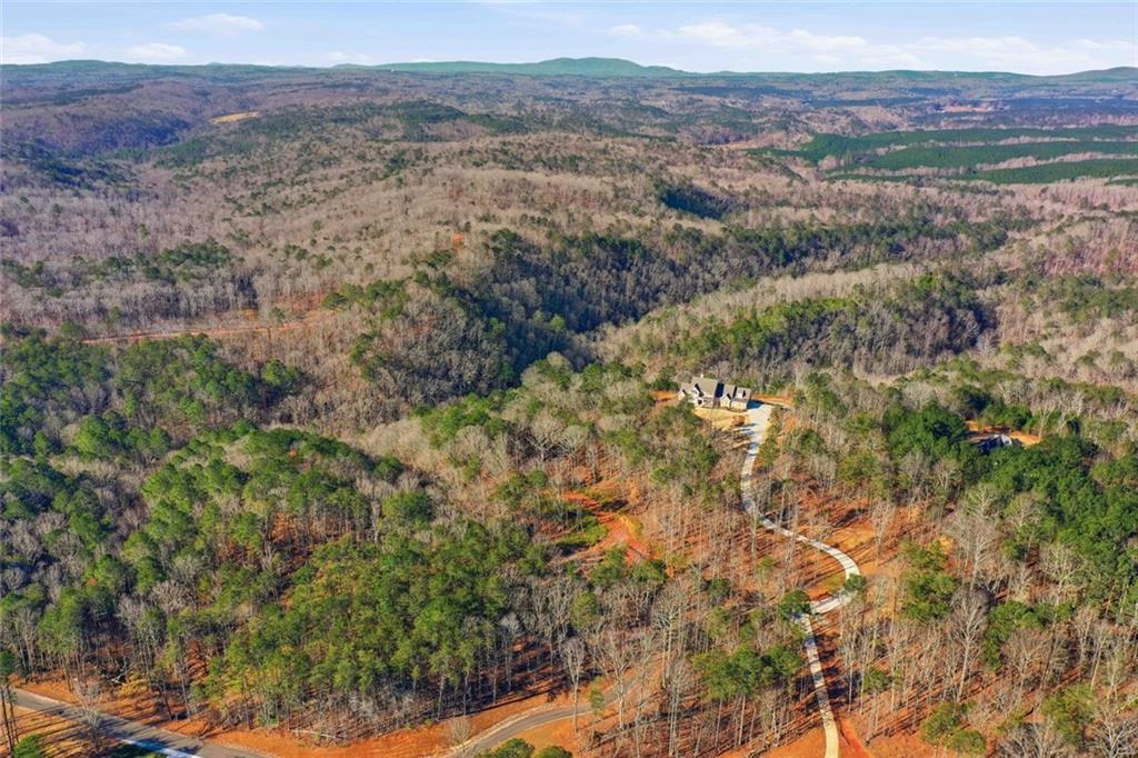 285 Highlands Chase Ball Ground, GA 30107 - Photo 10 of 20