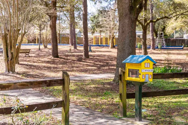 a view of a yard with a tree