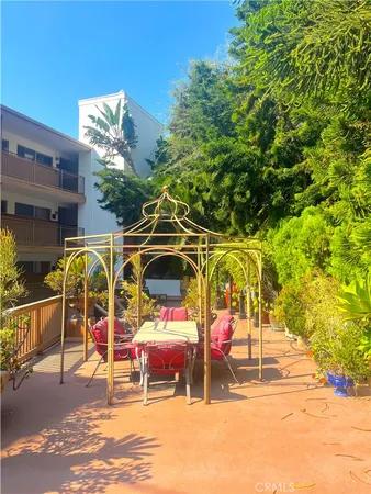 a view of a backyard with plants and a swimming pool