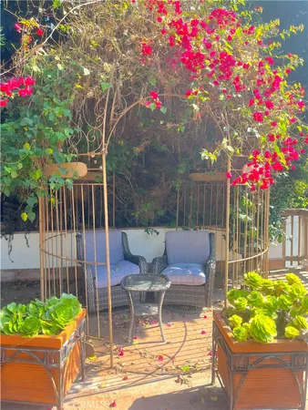 a outdoor living space with furniture and a potted plant