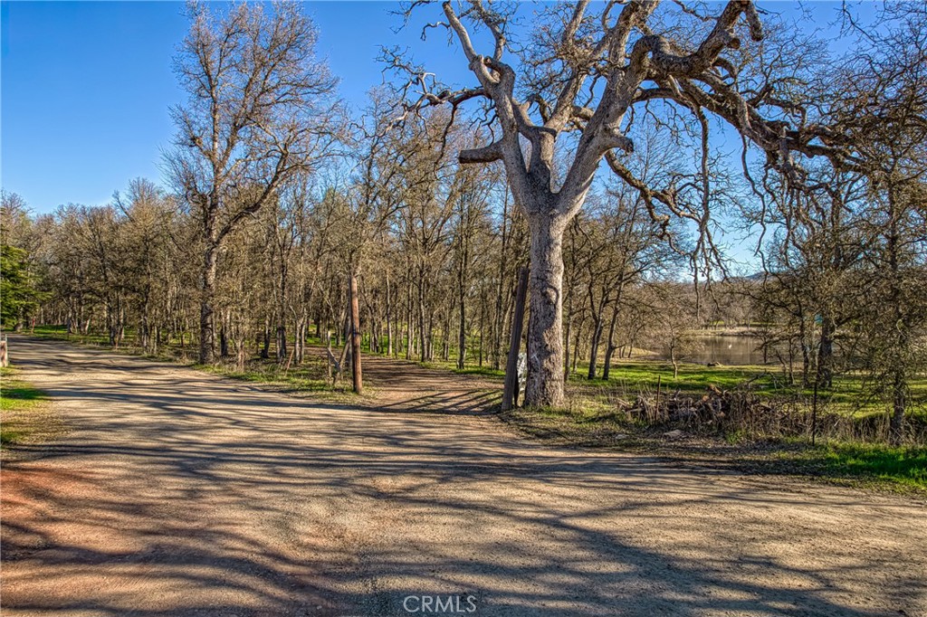 9340 Winchester Street Lower Lake, CA 95457 - Photo 2 of 31