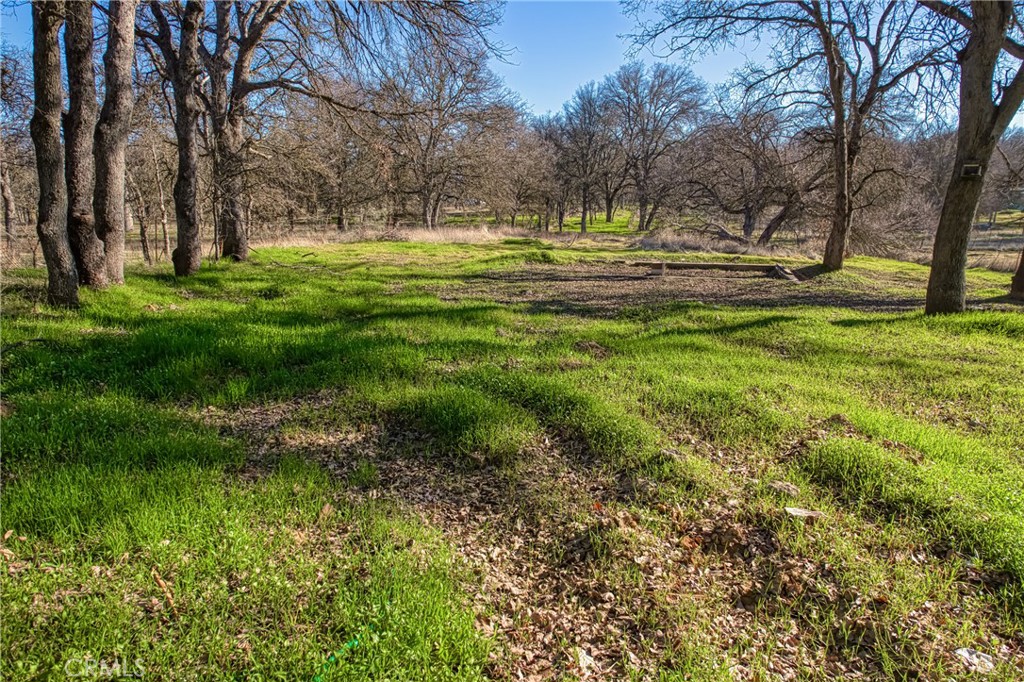 9340 Winchester Street Lower Lake, CA 95457 - Photo 23 of 31