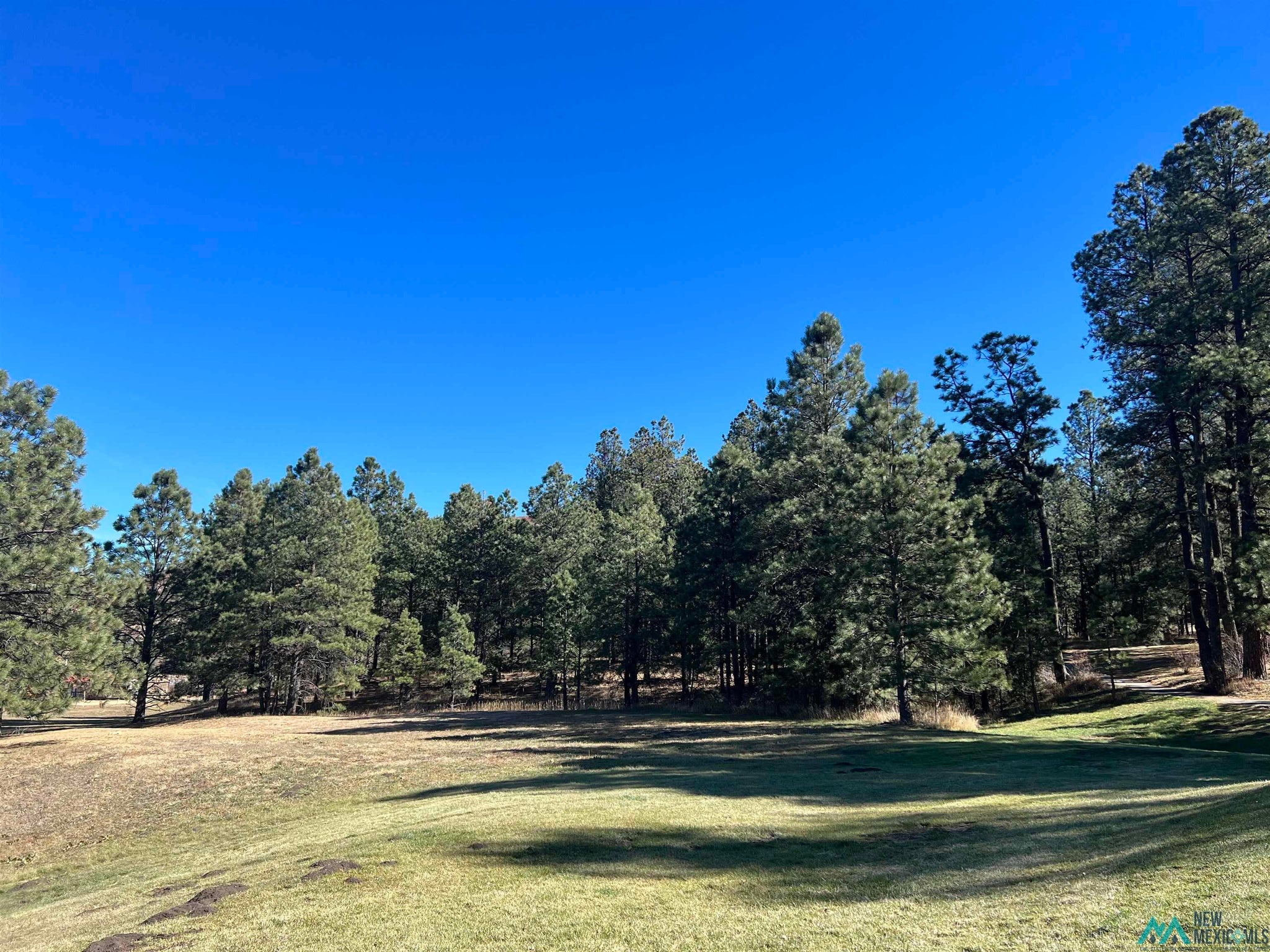 1 Chapel Road Rociada, NM 87742 - Photo 2 of 9 Gallery Image 2