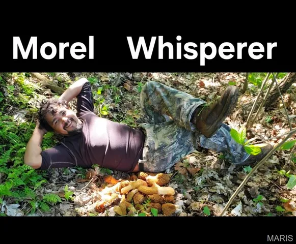 $810,000 | 1140 Keystone Trail Drive, Wildwood, MO 63005