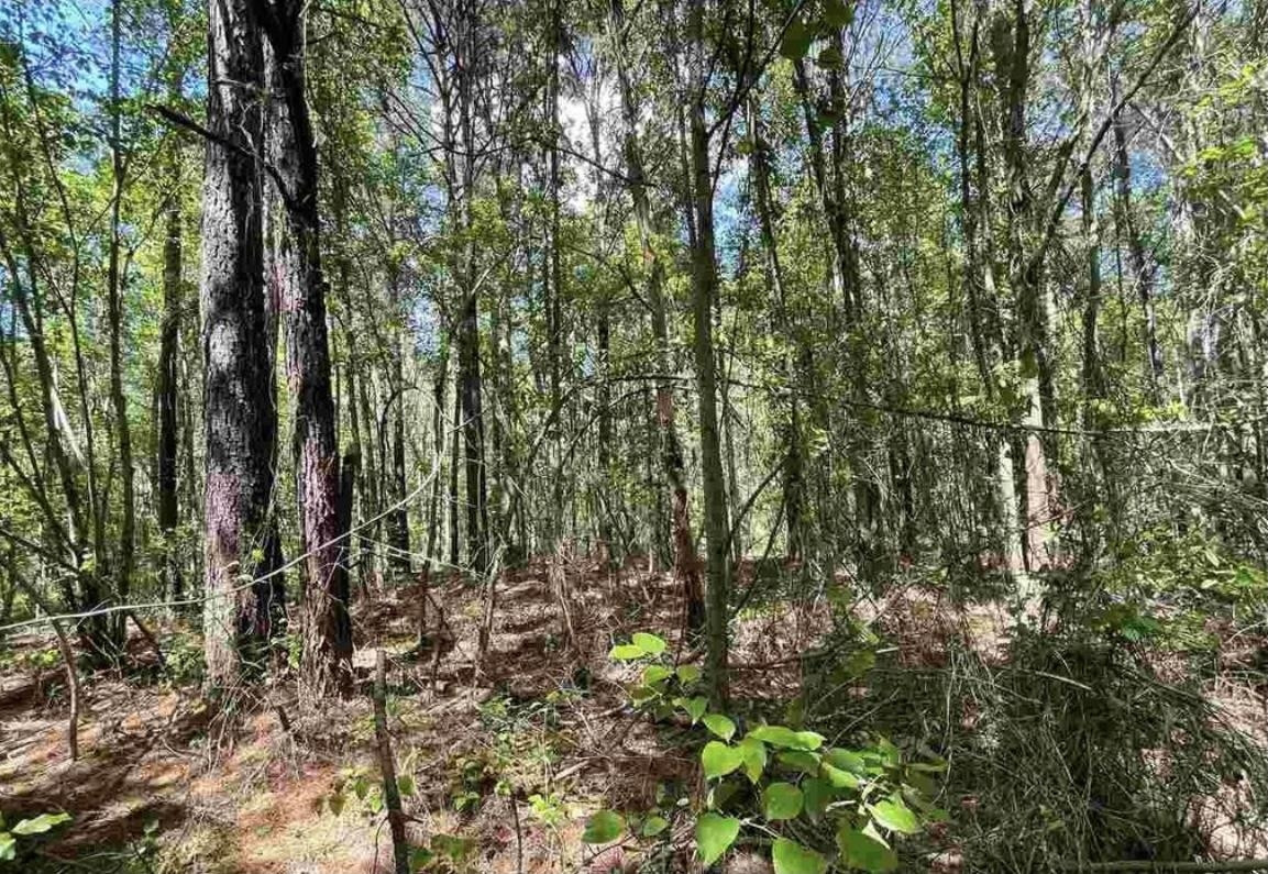 1183 West Blackman Road Dunn, NC 28334 - Photo 4 of 6