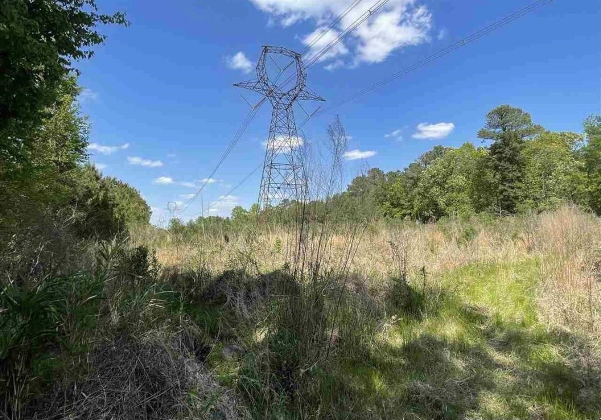 1183 West Blackman Road Dunn, NC 28334 - Photo 6 of 6 a view of a yard in a yard