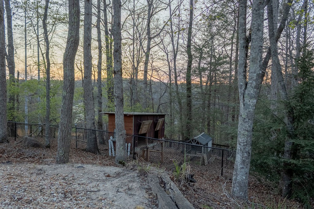 141 Chambers Mountain Road Mineral Bluff, GA 30559 - Photo 13 of 65