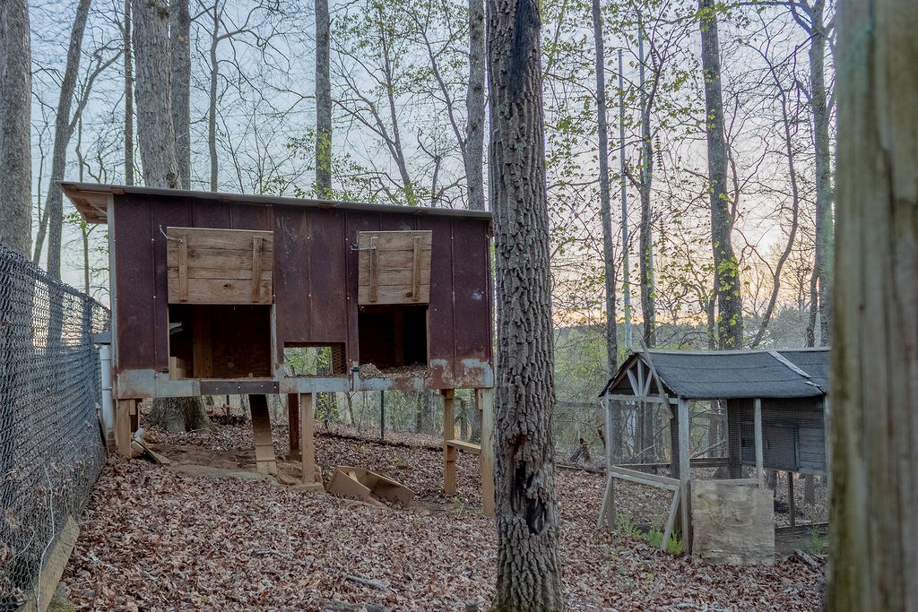 141 Chambers Mountain Road Mineral Bluff, GA 30559 - Photo 14 of 65