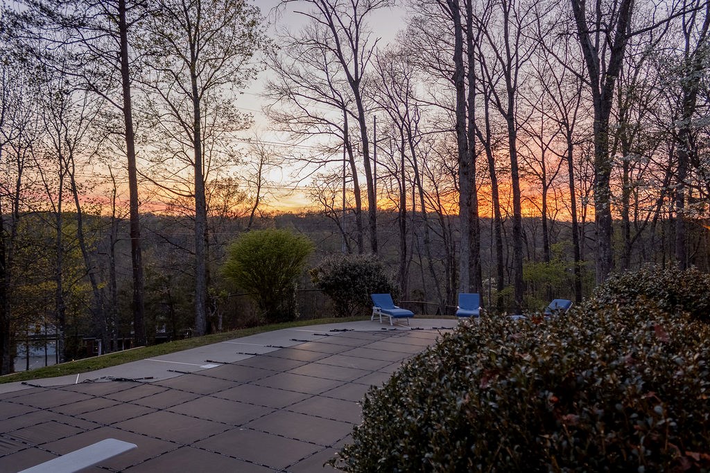 141 Chambers Mountain Road Mineral Bluff, GA 30559 - Photo 24 of 65